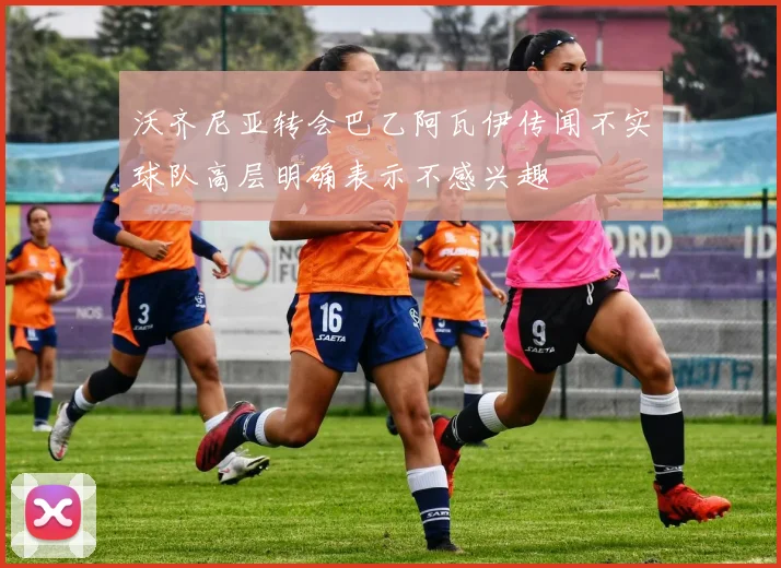 沃齐尼亚转会巴乙阿瓦伊传闻不实球队高层明确表示不感兴趣